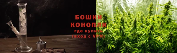 СК Богородск