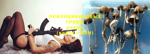 прущий лед Богородицк