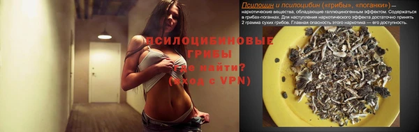 герыч Бородино