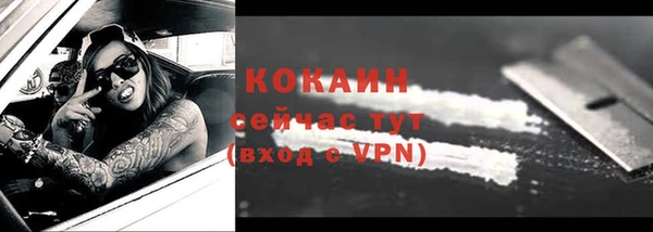 СК Богородск
