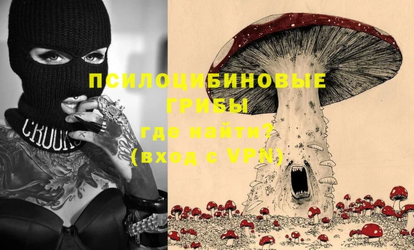 apvp Бугульма
