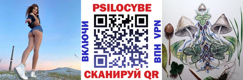 где найти наркотики  Лыткарино  Псилоцибиновые грибы мицелий 