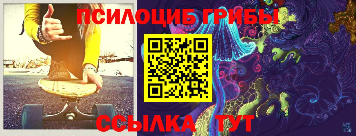Галлюциногенные грибы Psilocybe Лыткарино